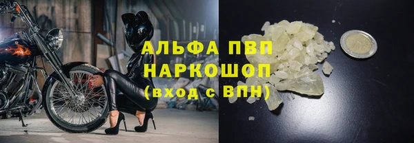 твердый Новодвинск