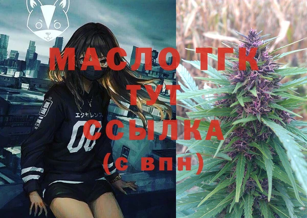 твердый Новодвинск